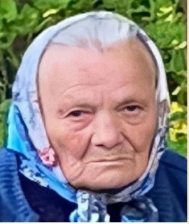 Следователи устанавливают обстоятельства исчезновения пенсионерки из села Заворонежское Мичуринского района